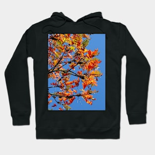 Autumn Hoodie